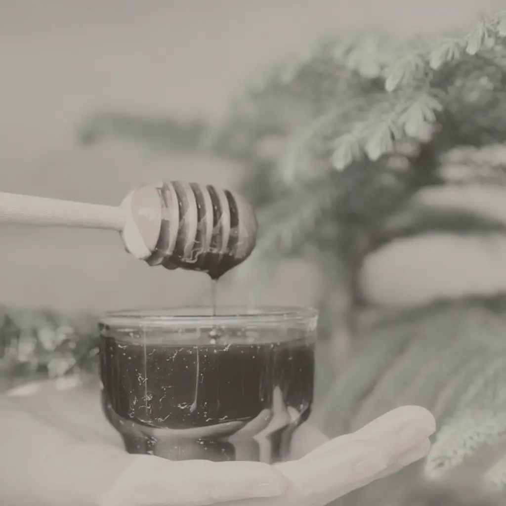 Wild Forest Honey on Maatru rasah