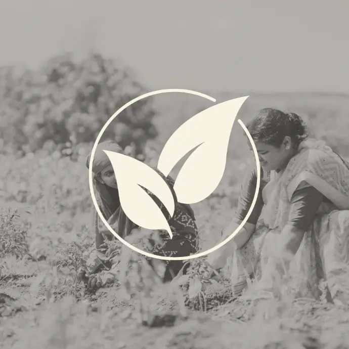 No use of arificial preservatives and addictives in the gourmet products of Maatru Rasah. All products are manufactured naturally.