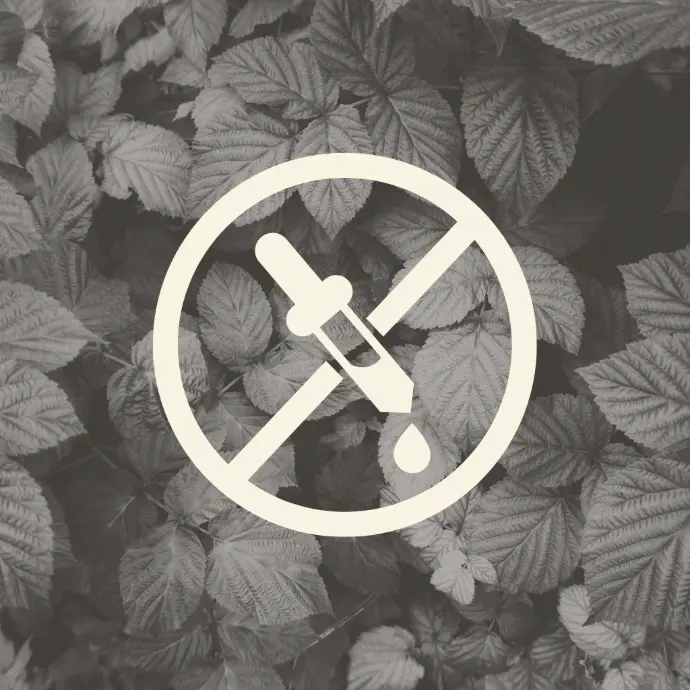 No use of any artificial flavous in the products of Maatru Rasah