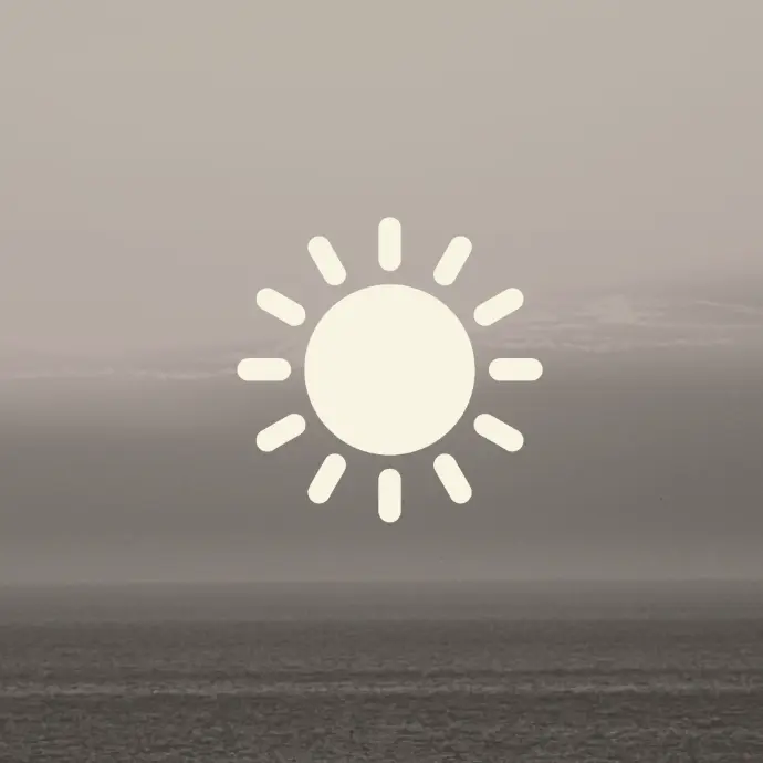 Sun dried Lakadong Turmeric