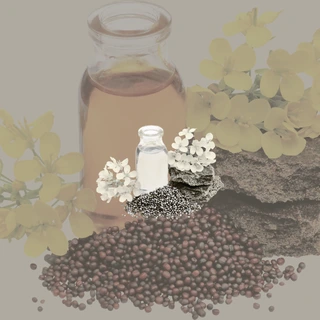 Tailam Aamra — Aam Ka Achar with Wood Pressed Mustard Oil
