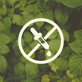 Zero artificial flavour icon representing naturally prepared homemade food made without synthetic flavouring agents by Maatru Rasah