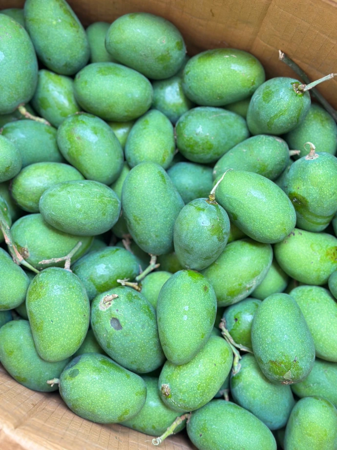 Raw magos at maatru rasah mango achar production