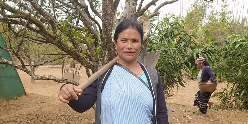 Padma Shri Trinity Saioo standing amidst lush green Lakadong turmeric plants in Meghalaya for Maatru Rasah.