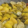 Coarsely ground lemons with peel left intact in Nimbu Rasah chutney