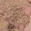 Buy Red Rice Online – Naturally non-parboiled traditional red rice from Meghalaya