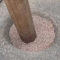 Buy Red Rice Online – Naturally non-parboiled traditional red rice from Meghalaya