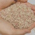 Buy Red Rice Online – Unpolished red rice with natural bran intact from the Khasi Hills