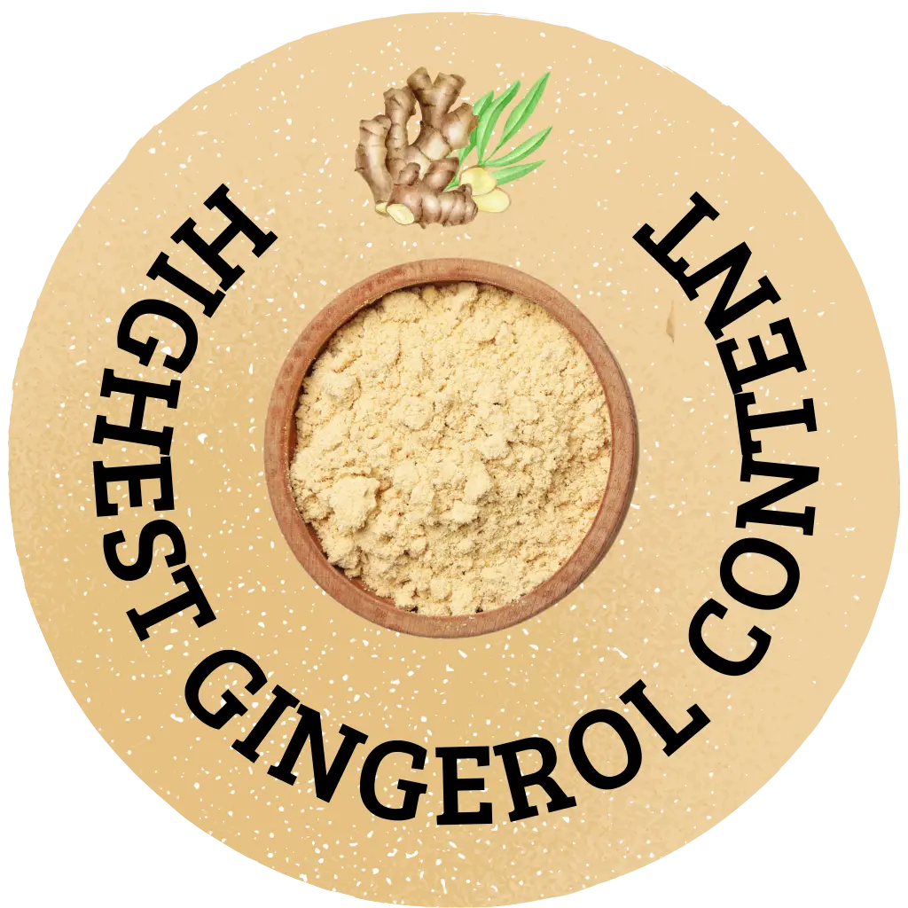 Best Ginger Powder Highest Gingerol in Ginger