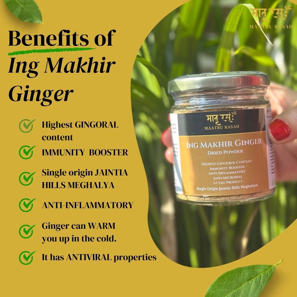 Benefits of Ing Makhir Ginger on Maatru Rasah