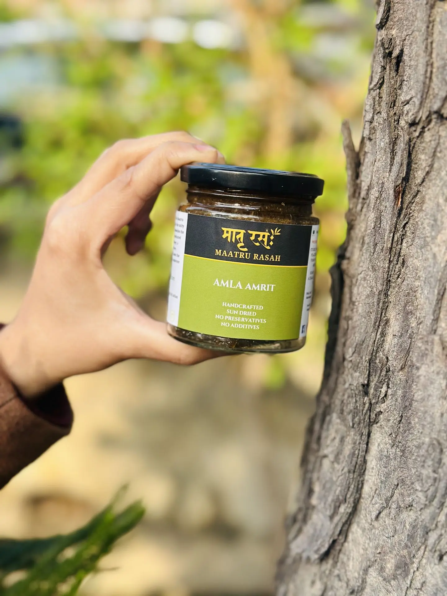Homemade Amla Amrit | Indian Gooseberry Chutney