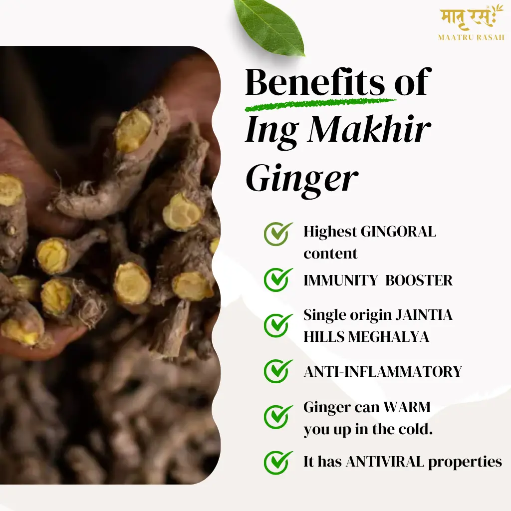 benefits of ing makhir ginger from meghalaya maatru rasah