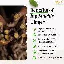 benefits of ing makhir ginger from meghalaya maatru rasah