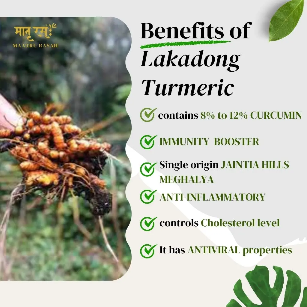 Benefits Of Lakadong Turmeric .webp