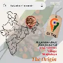 map of turmeric.webp