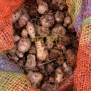 gi tag lakadong turmeric curcumin 8 to 12%.webp