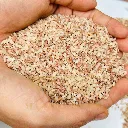 Buy-Red-Rice-online