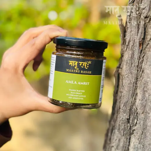 [AA150G] Homemade Amla Amrit | Indian Gooseberry Chutney